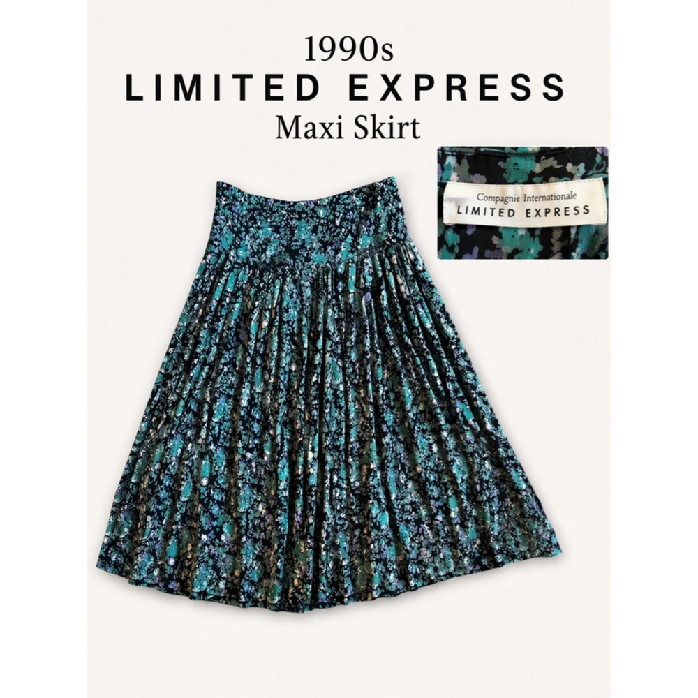 Limited Express 90s Floral Maxi Skirt Dropped Waist Pleated Grunge Cottagecore